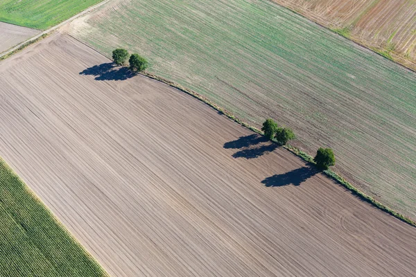 Luftaufnahme von Erntefeldern — Stockfoto