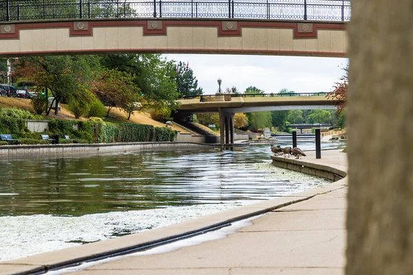 Bridges — Stock Photo, Image