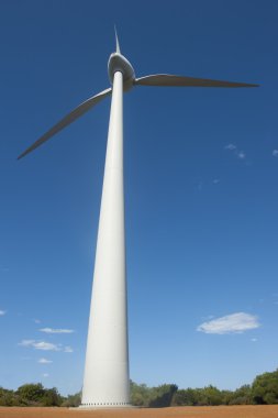 yenilenebilir enerji ve güç Rüzgar değirmeni