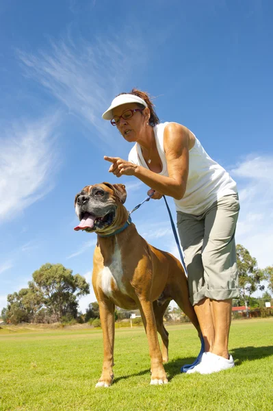 Woman with alert guard boxer bull dog — Stock Photo, Image