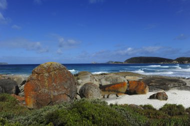 Wilsons promontory Milli Parkı Avustralya