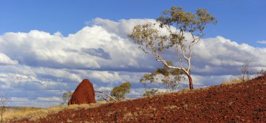 Australian outback landscape clipart