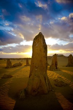 Pinnacles Nambung National Park Australia clipart