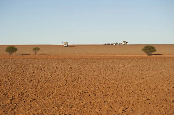 Barren wheat field Western Australia — Stock Photo, Image