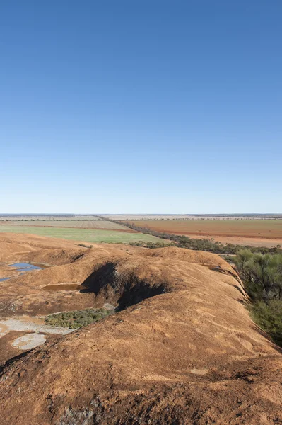 Havadan tarım arazileri Batı Avustralya görüntülemek — Stok fotoğraf