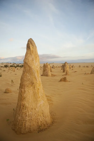 Deserto de Pinnacles Austrália Ocidental — Fotografia de Stock