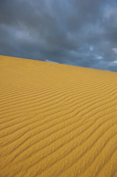 Öken sand dune storm bakgrund — Stockfoto