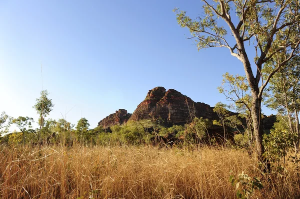 Австралійський Outback краєвид — стокове фото