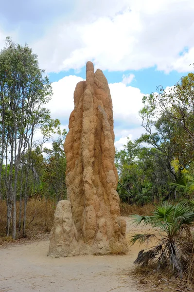 Гигантский термитник Австралии — стоковое фото