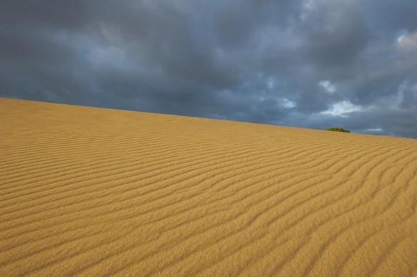 Deserto sabbia duna tempesta sfondo — Foto Stock