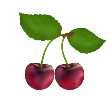 Berries black cherry clipart