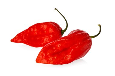 Ghost Pepper or Naga Bhut Jolokia clipart