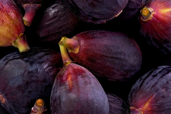 Czarne figi misji (Ficus carica) — Zdjęcie stockowe