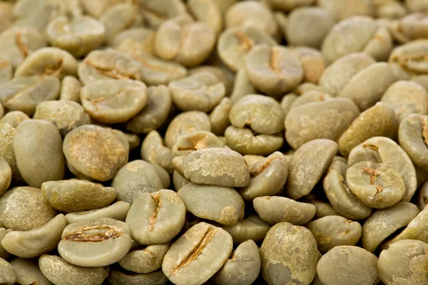녹색 커피 콩 — 스톡 사진