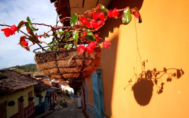 çiçek saksı, köy guatape, colombia.