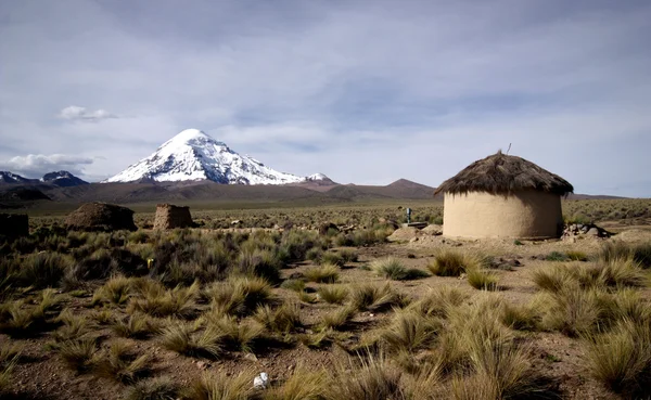 Landschap in nationaal park sajama, bolivia. — Stockfoto