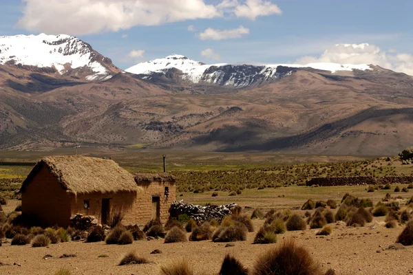 Landskap, sajama nationalpark, bolivia. — Stockfoto