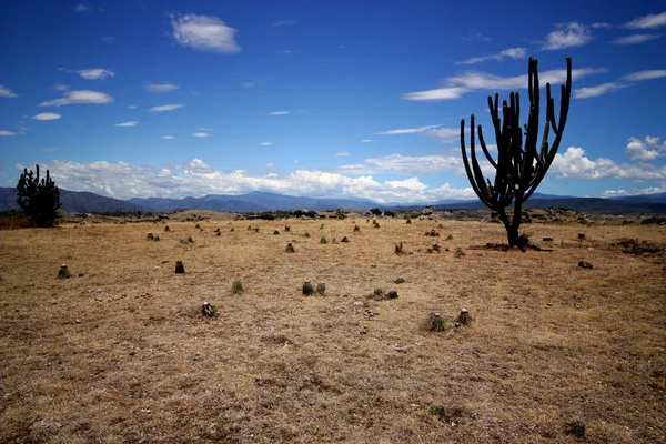Desierto de Tatacoa en Colombia . Fotos de stock libres de derechos