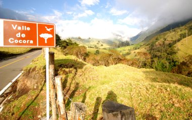 Spectacular Valle de Cocora in Colombia. clipart