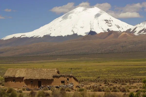 View on stone houses and volcano in Sajama, Bolivia. — Stock Photo, Image