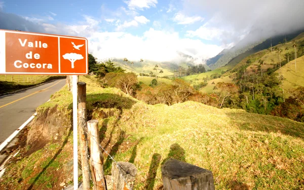 Velkolepé valle de cocora v Kolumbii. Stock Snímky