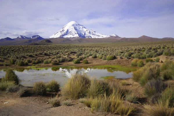 Tükrözi a vulkán sajama kis tó, Bolívia. — Stock Fotó
