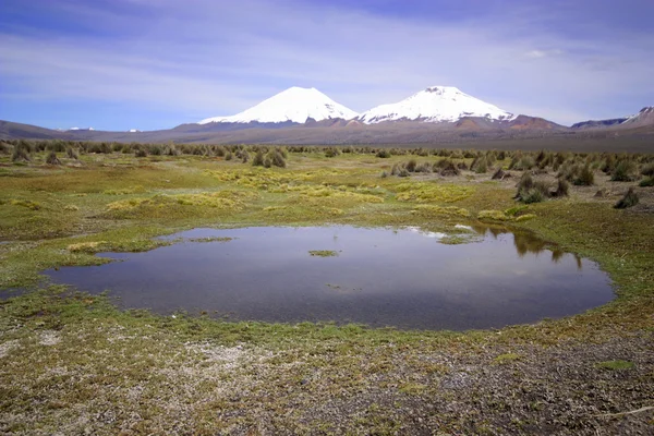 Bekijk op vulkanen in sajama, bolivia. — Stok fotoğraf