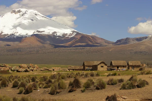 Krajina v národním parku sajama, Bolívie. Royalty Free Stock Obrázky