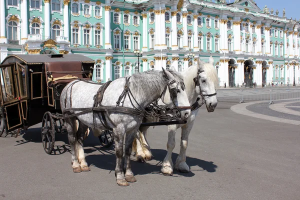 Carriage drawn by two horses — Stock Photo, Image
