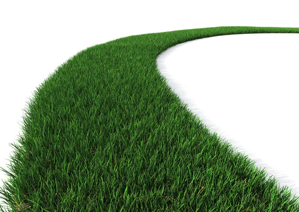 stock image Green Grass path