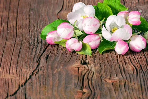 Apfelblüte auf Holz — Stockfoto