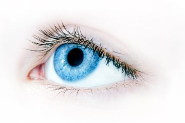 Blue eye macro clipart