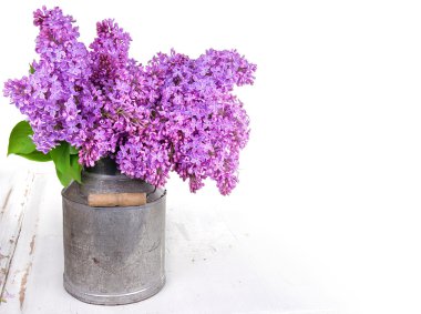 Bouquet of lilacs clipart