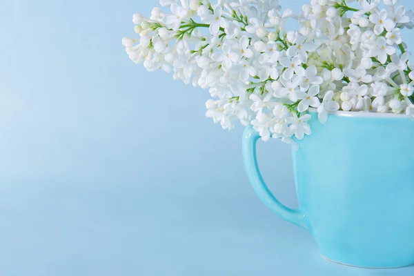 Lilacs on a light blue background — Stock Photo, Image