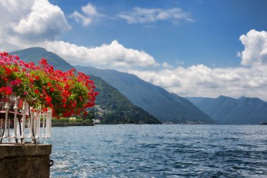 Red flowers by Lake Como clipart