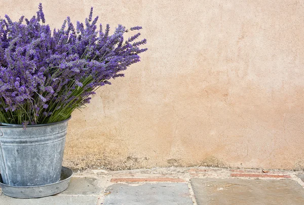 Bouquet of lavender in a metal bucket — Stock Photo, Image