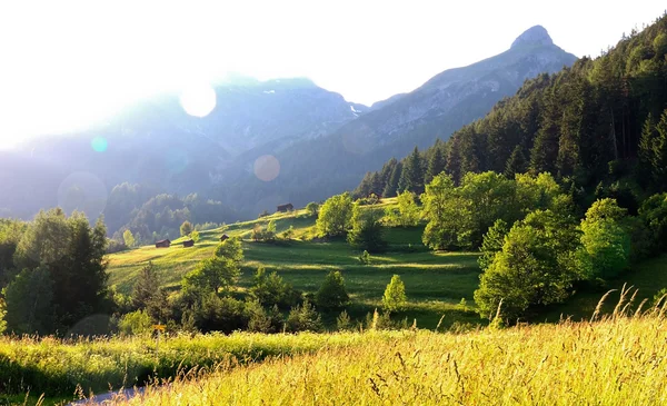 Mountains and meadows in evening sun — Stock Photo, Image