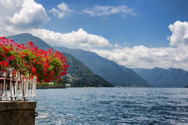 Flores vermelhas pelo Lago de Como — Fotografia de Stock