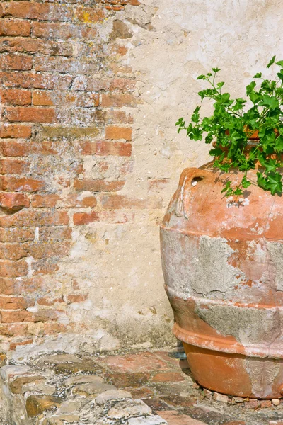 Деревенский цветочный горшок у кирпичной стены — стоковое фото