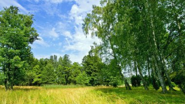 Finnish countryside landscape in the summer clipart