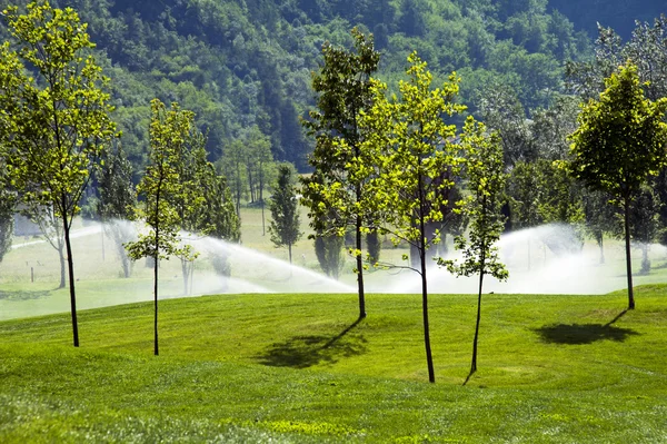 stock image Sprinklers on grass