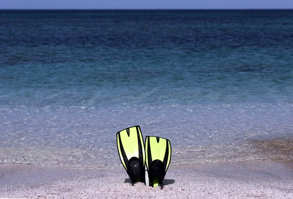 Fins on the the beach — Stock Photo, Image