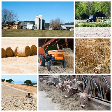 Agriculture collage clipart