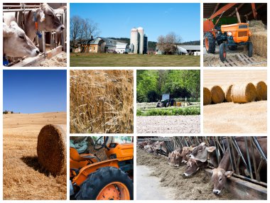 Agriculture collage clipart