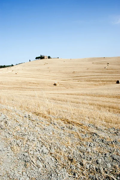 stock image Tuscany farm