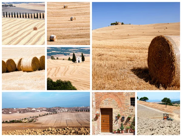 Tuscany landscape collage — Stock Photo, Image