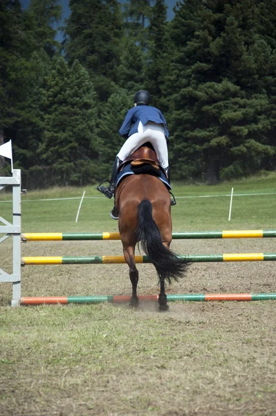 Equestrian jumping hurdles — Stock Photo, Image