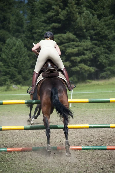 Cavaleiro e cavalo de saltos — Fotografia de Stock