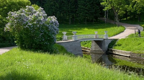 stock image Pavlovsk Park