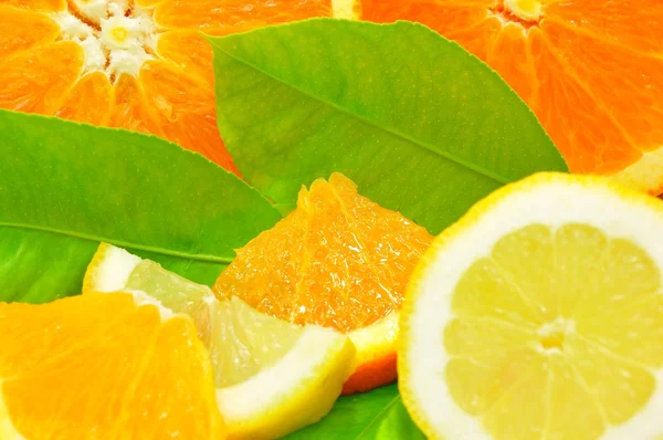 Citron a pomeranč — Stock fotografie
